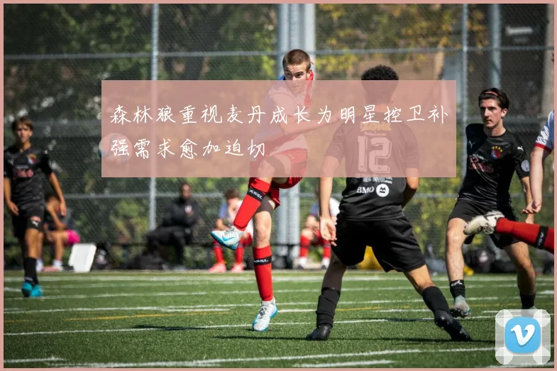 森林狼重视麦丹成长为明星控卫补强需求愈加迫切