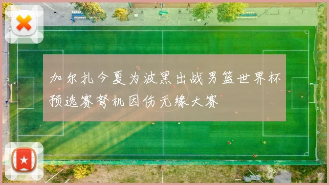 加尔扎今夏为波黑出战男篮世界杯预选赛弩机因伤无缘大赛