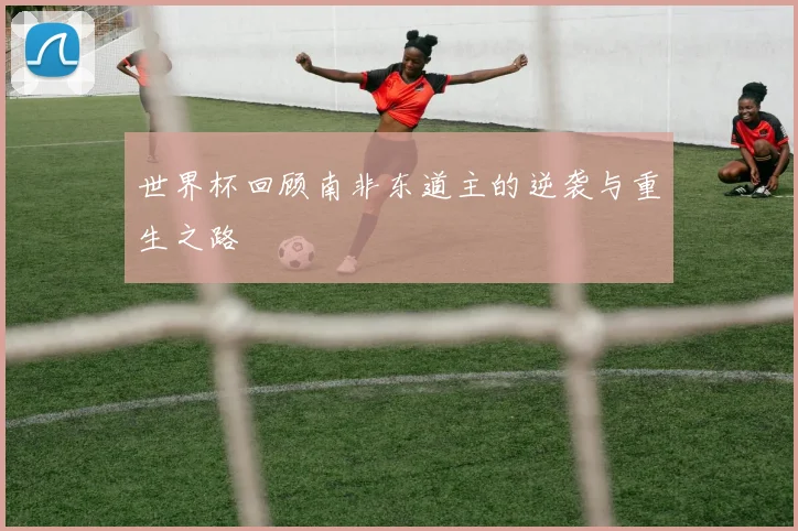 世界杯回顾南非东道主的逆袭与重生之路