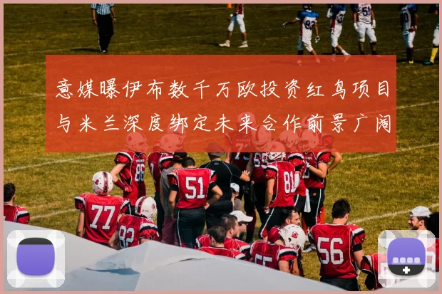 意媒曝伊布数千万欧投资红鸟项目与米兰深度绑定未来合作前景广阔