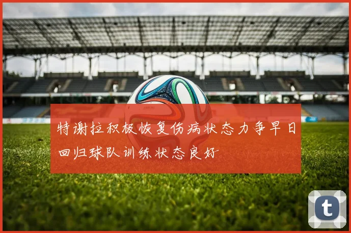 特谢拉积极恢复伤病状态力争早日回归球队训练状态良好